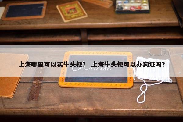 上海哪里可以买牛头梗？ 上海牛头梗可以办狗证吗？