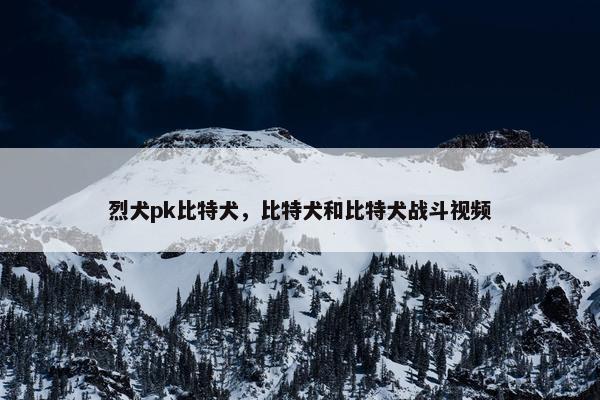 烈犬pk比特犬，比特犬和比特犬战斗视频