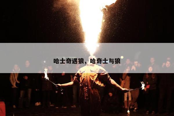 哈士奇遇狼，哈奇士与狼