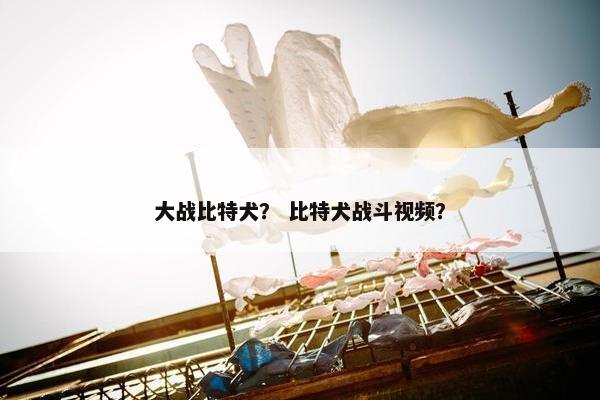 大战比特犬？ 比特犬战斗视频？