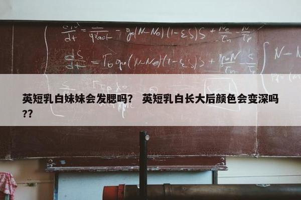 英短乳白妹妹会发腮吗？ 英短乳白长大后颜色会变深吗?？