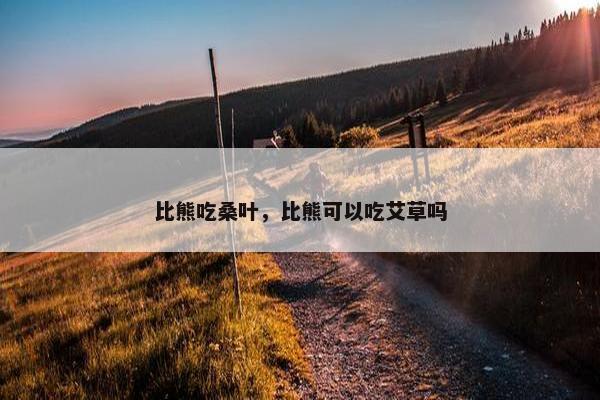 比熊吃桑叶，比熊可以吃艾草吗