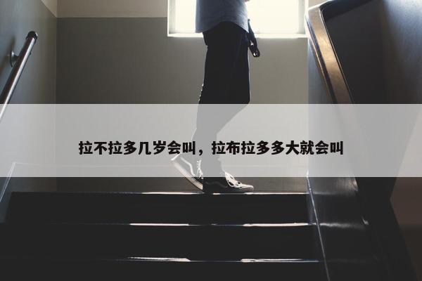 拉不拉多几岁会叫，拉布拉多多大就会叫