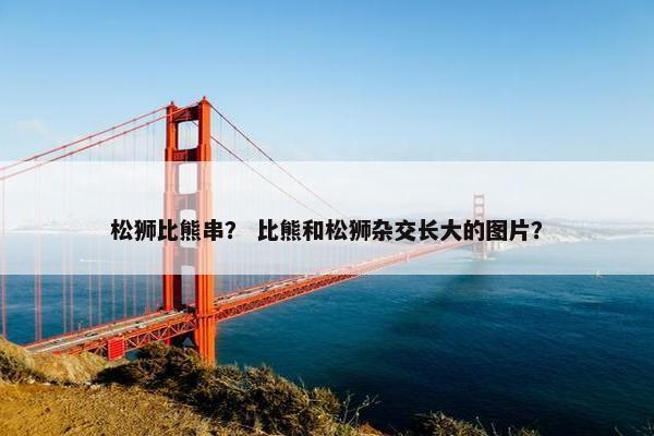 松狮比熊串？ 比熊和松狮杂交长大的图片？