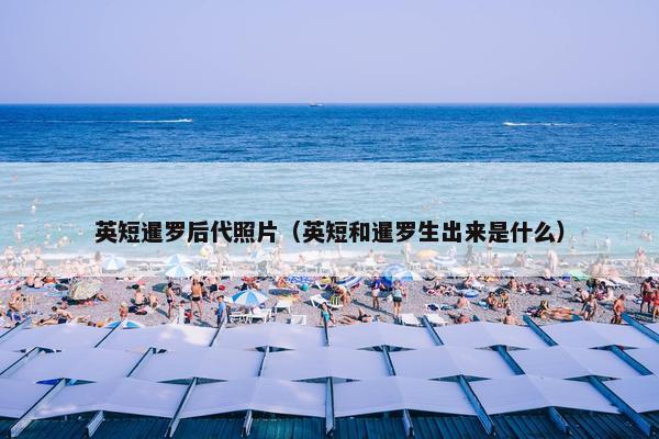 英短暹罗后代照片（英短和暹罗生出来是什么）