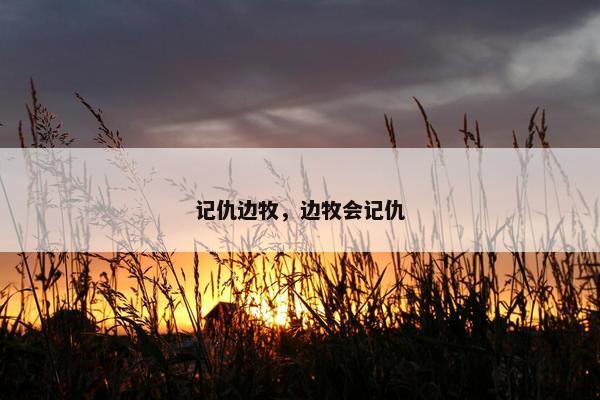 记仇边牧，边牧会记仇