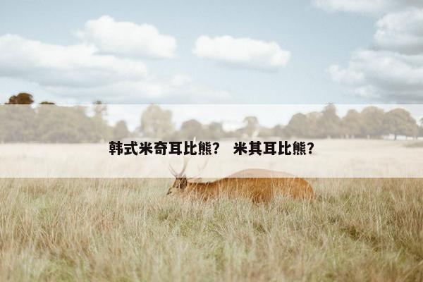 韩式米奇耳比熊？ 米其耳比熊？