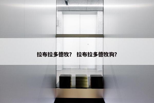拉布拉多德牧？ 拉布拉多德牧狗？