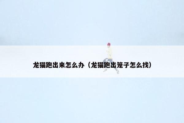 龙猫跑出来怎么办（龙猫跑出笼子怎么找）