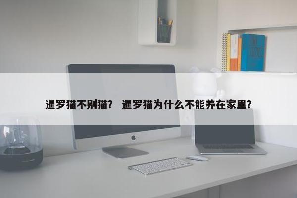 暹罗猫不别猫？ 暹罗猫为什么不能养在家里？
