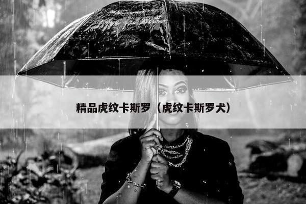 精品虎纹卡斯罗（虎纹卡斯罗犬）