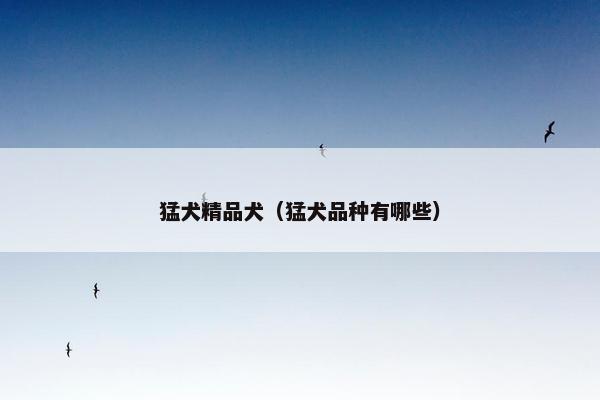 猛犬精品犬（猛犬品种有哪些）