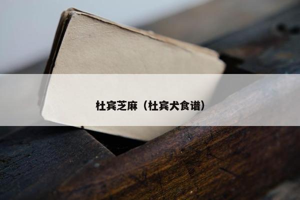 杜宾芝麻（杜宾犬食谱）