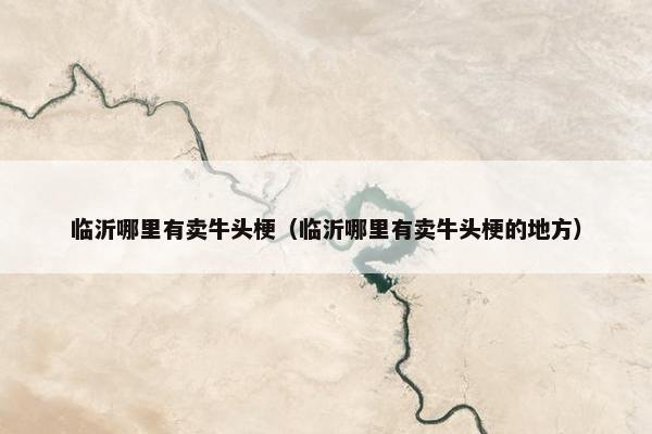 临沂哪里有卖牛头梗（临沂哪里有卖牛头梗的地方）