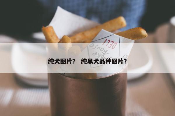纯犬图片？ 纯黑犬品种图片？