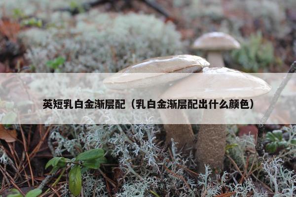 英短乳白金渐层配（乳白金渐层配出什么颜色）