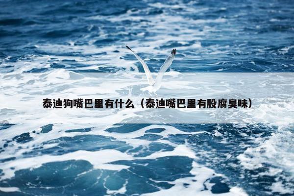 泰迪狗嘴巴里有什么（泰迪嘴巴里有股腐臭味）
