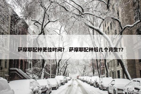 萨摩耶配种更佳时间？ 萨摩耶配种后几个月生?？