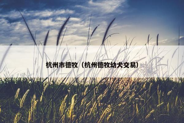 杭州市德牧（杭州德牧幼犬交易）
