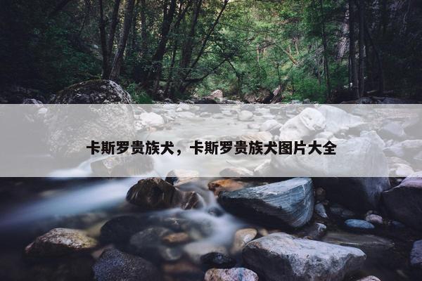 卡斯罗贵族犬，卡斯罗贵族犬图片大全