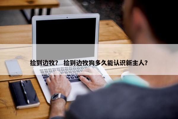 捡到边牧？ 捡到边牧狗多久能认识新主人？