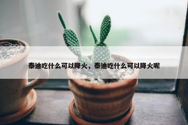 泰迪吃什么可以降火，泰迪吃什么可以降火呢