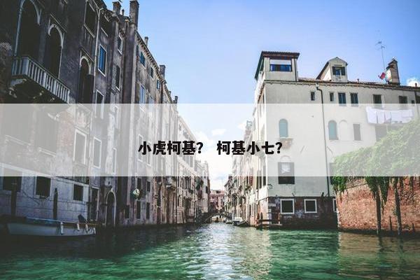小虎柯基？ 柯基小七？