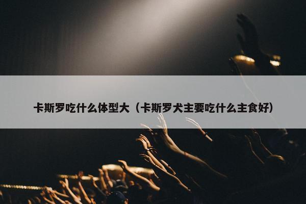 卡斯罗吃什么体型大（卡斯罗犬主要吃什么主食好）
