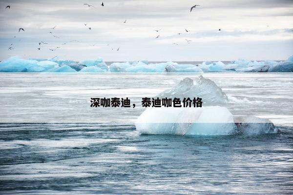 深咖泰迪，泰迪咖色价格