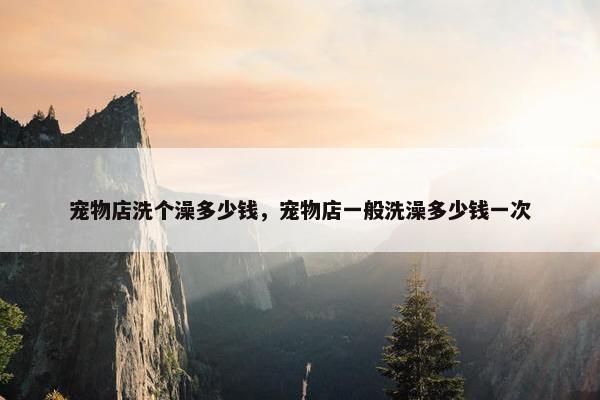 宠物店洗个澡多少钱，宠物店一般洗澡多少钱一次