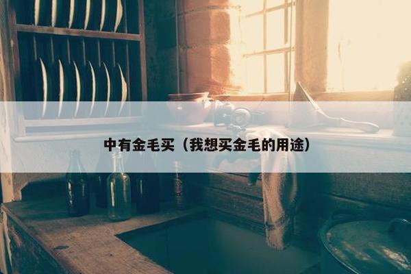 中有金毛买（我想买金毛的用途）