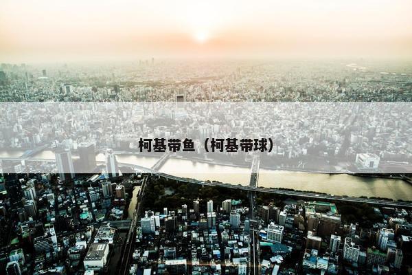 柯基带鱼（柯基带球）