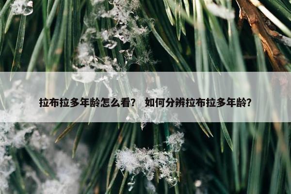拉布拉多年龄怎么看？ 如何分辨拉布拉多年龄？