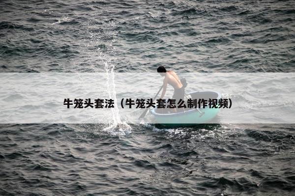 牛笼头套法（牛笼头套怎么制作视频）