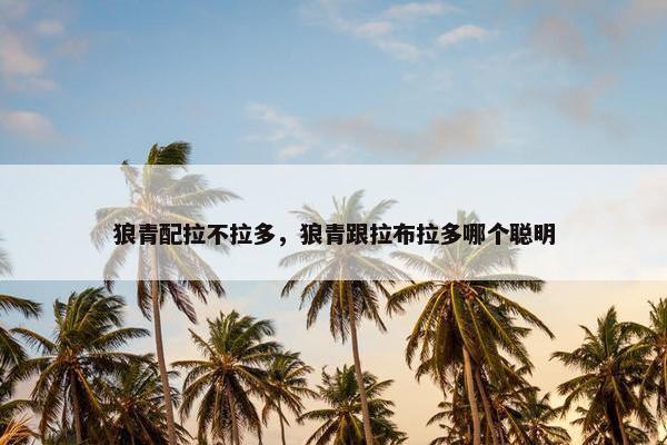 狼青配拉不拉多，狼青跟拉布拉多哪个聪明