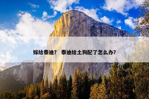嫁给泰迪？ 泰迪给土狗配了怎么办？