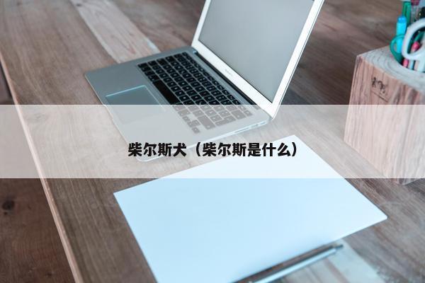 柴尔斯犬（柴尔斯是什么）