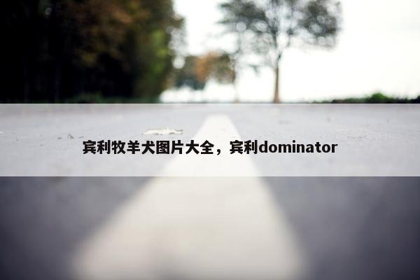 宾利牧羊犬图片大全，宾利dominator