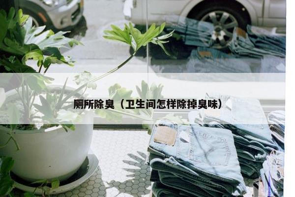 厕所除臭（卫生间怎样除掉臭味）