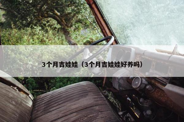 3个月吉娃娃（3个月吉娃娃好养吗）