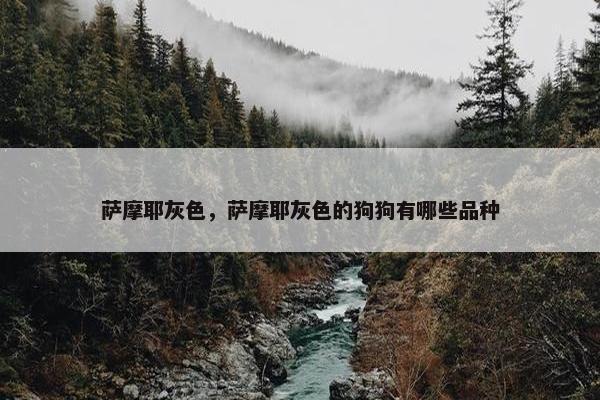 萨摩耶灰色，萨摩耶灰色的狗狗有哪些品种