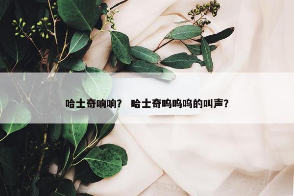 哈士奇响响？ 哈士奇呜呜呜的叫声？