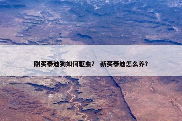 刚买泰迪狗如何驱虫？ 新买泰迪怎么养？