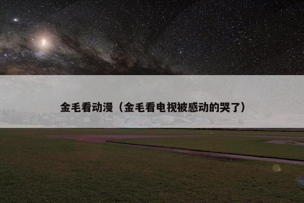 金毛看动漫（金毛看电视被感动的哭了）