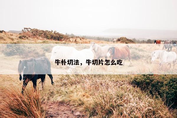 牛朴切法，牛切片怎么吃