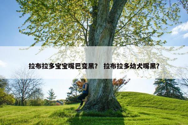 拉布拉多宝宝嘴巴变黑？ 拉布拉多幼犬嘴黑？