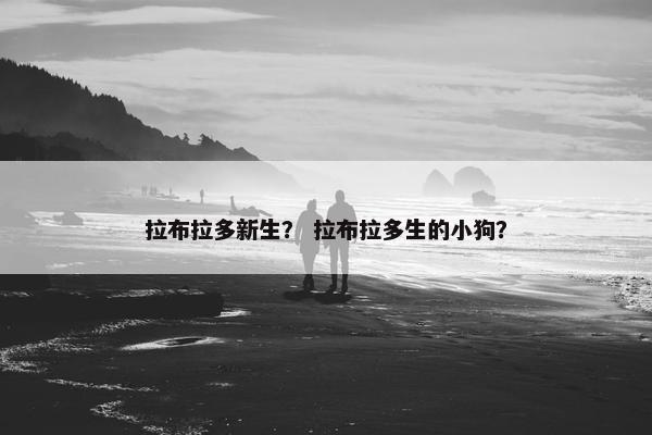 拉布拉多新生？ 拉布拉多生的小狗？