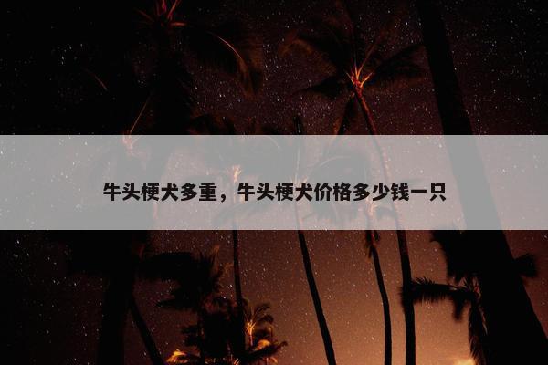 牛头梗犬多重，牛头梗犬价格多少钱一只