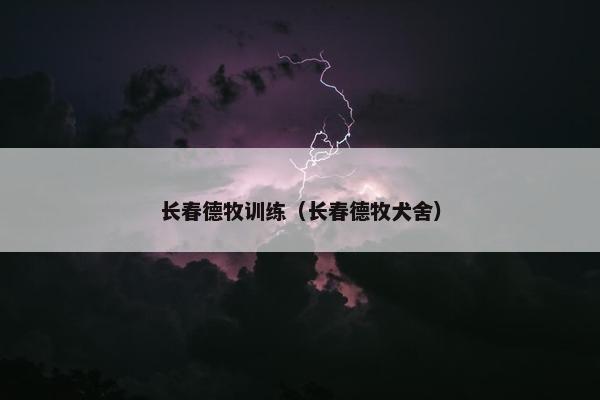 长春德牧训练（长春德牧犬舍）