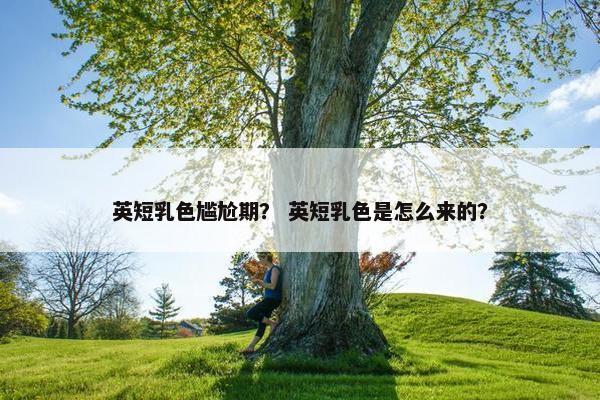 英短乳色尴尬期？ 英短乳色是怎么来的？